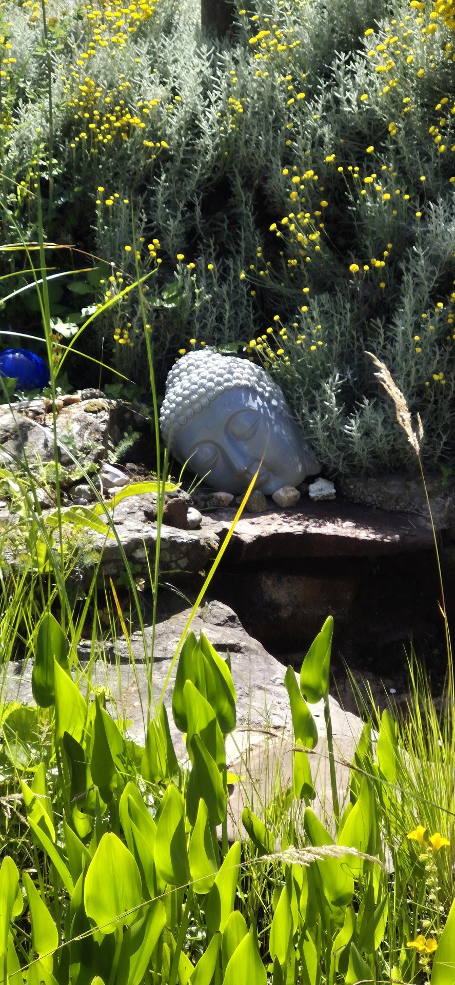 bouddha
